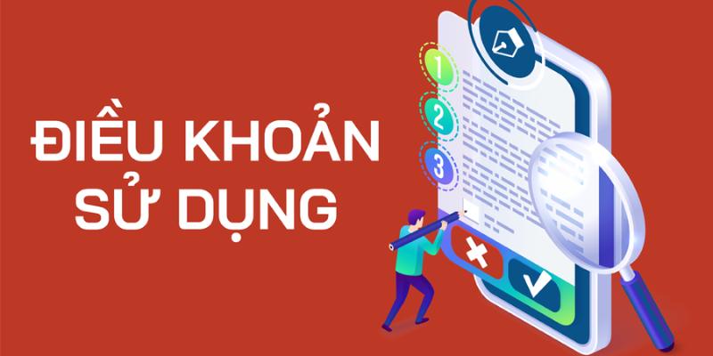 Các chính sách được áp dụng trong điều khoản và điều kiện