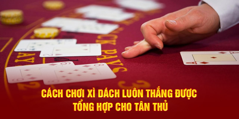 cách chơi xì dách