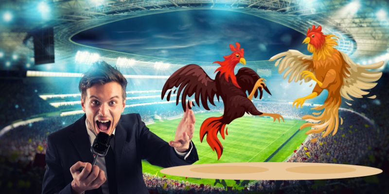 Những trận đá gà bình luận viên tại 33win